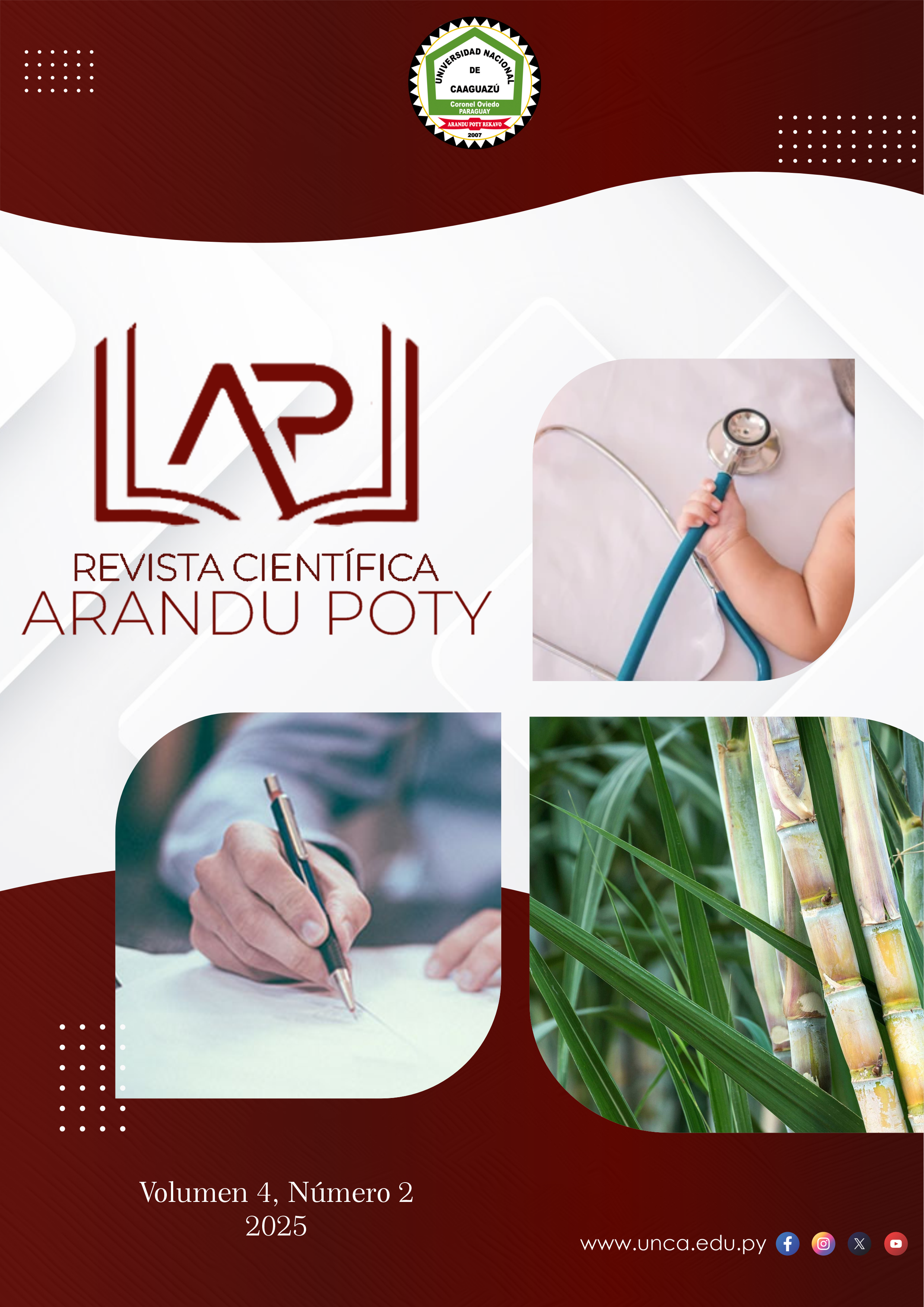 					Ver Vol. 4 Núm. 2 (2025): Revista Científica Arandu Poty
				